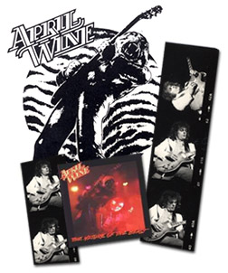 1981